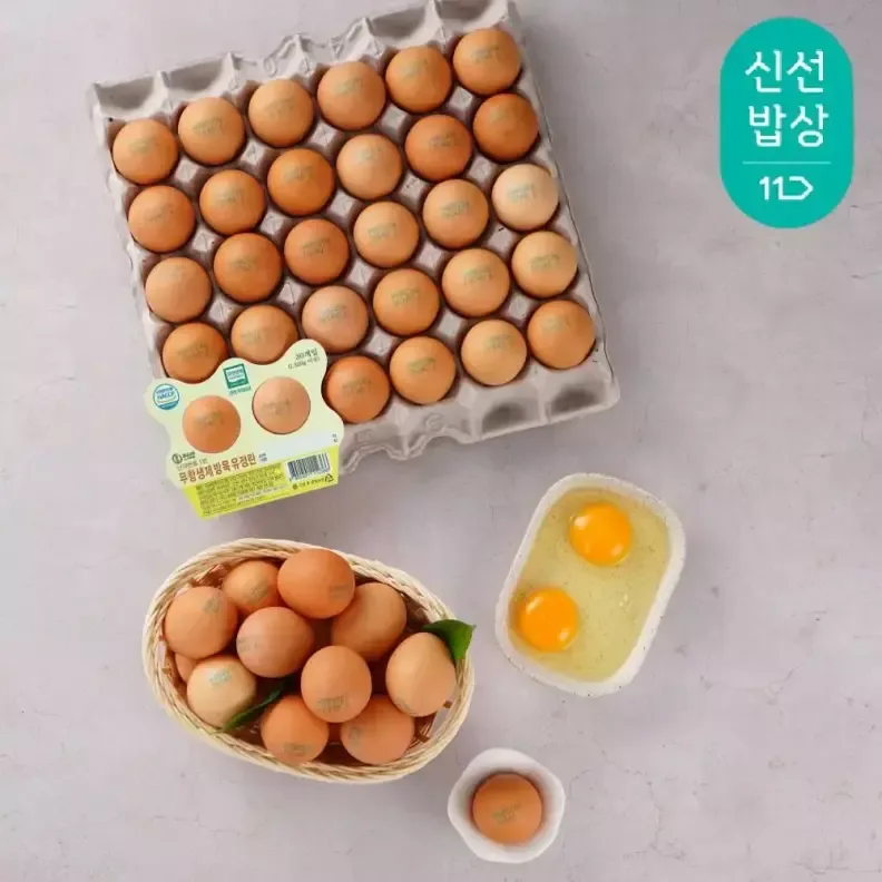 오늘 핫딜: 유정란부터 탐사 샘물까지