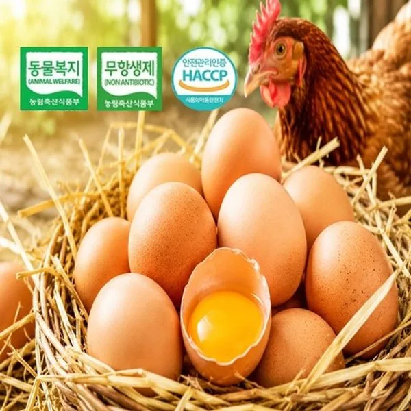동물복지 난각번호2번·코카콜라제로 핫딜